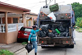 Recolección en Villa Verónica, corregimiento José Domingo Espinar.