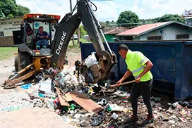 Recolección en el sector Mano de Piedra, corregimiento Belisario Frías