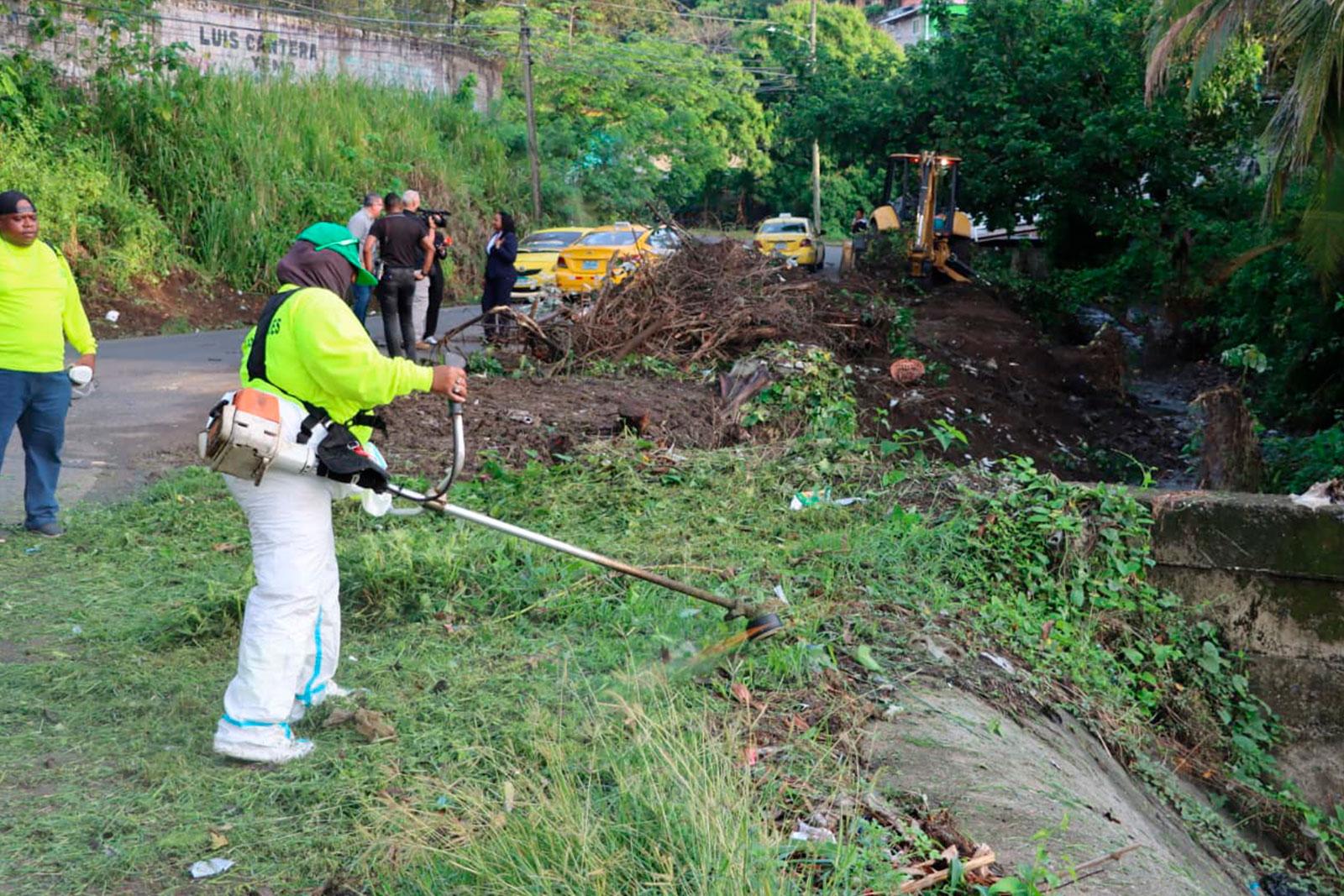 Corte de herbazal en la 9 de enero, corregimiento Amelia Denis de Icaza