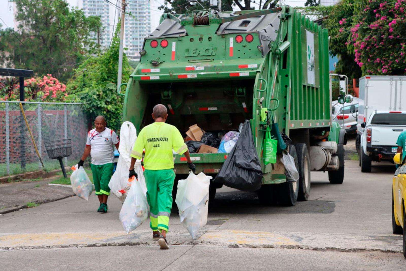 Recolección en Hato Pintado, corregimiento Pueblo Nuevo