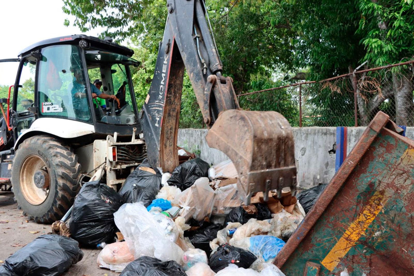 Recolección en tinaquera en el corregimiento de Pueblo Nuevo