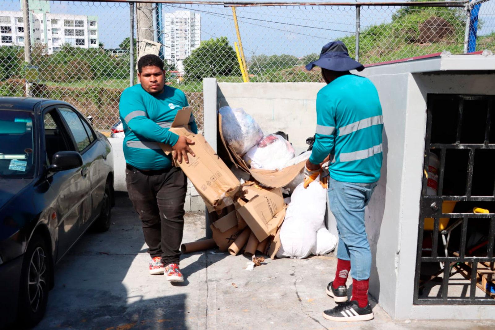  Recolección comercial en locales ubicados en El Crisol, corregimiento Rufina Alfaro
