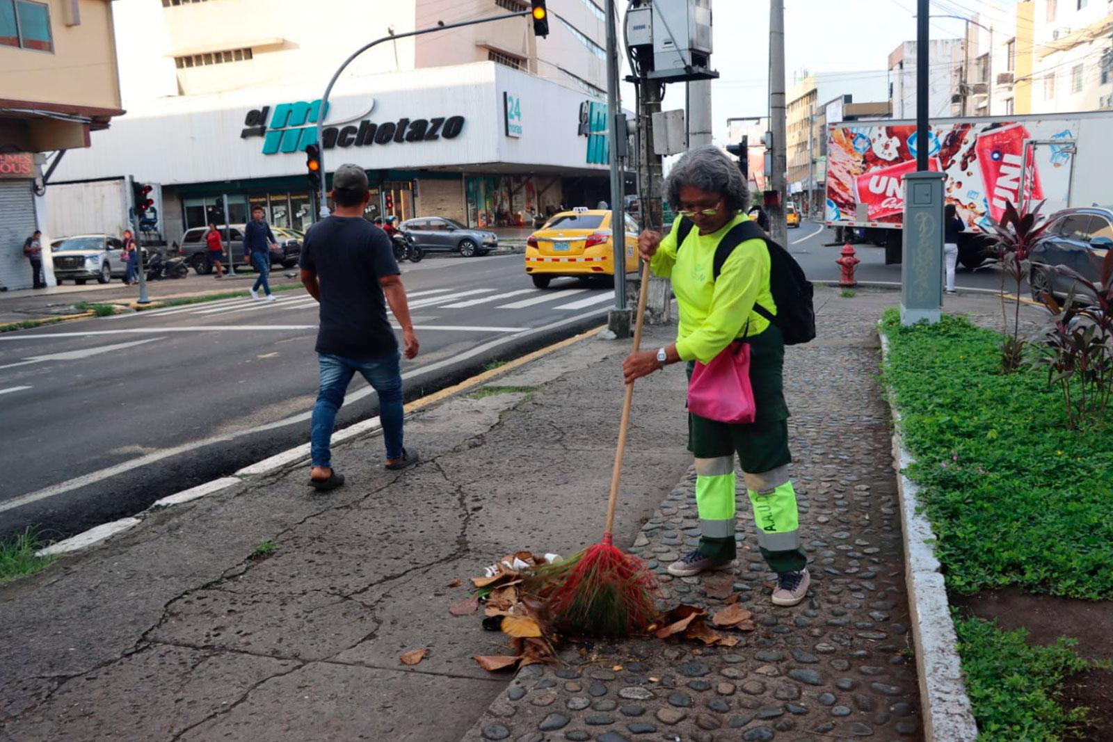 Barrido en el parque de La Cuchilla en Calidonia