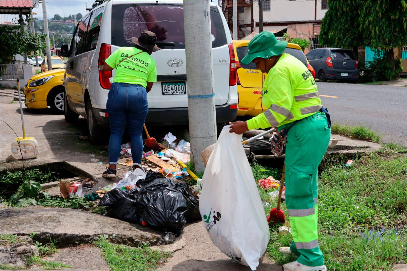 Barrido por parte de las hormiguitas en la T de Torrijos Carter