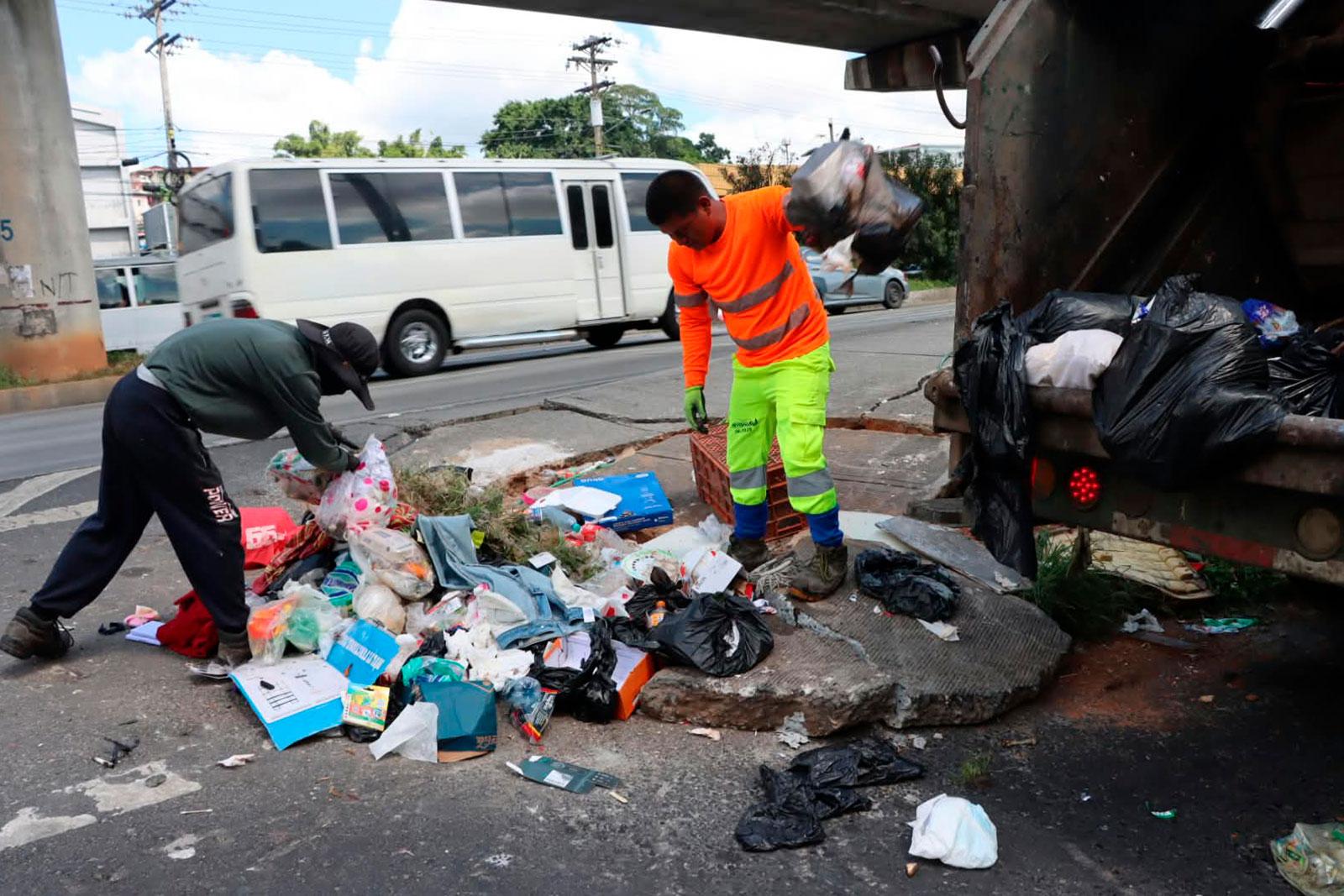 Recoleccion en el sector de La Moya, corregimiento Amelia Denis de Icaza